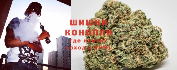 шишки Балабаново